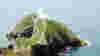 blog_801250775_118dbd2b5b_o_original.jpg