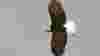 blog_baldeagle_original.jpg