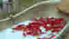 blog_bathtub_original.jpg
