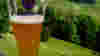 blog_beer_original.jpg