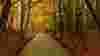 blog_btfalltravel_original.jpg