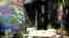 blog_btistopover_original.jpg