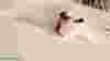 blog_btsnow_original.jpg