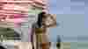 blog_btspringbreak_original.jpg