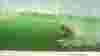 blog_btsurfspots_original.jpg