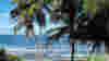 blog_croppedbarbadosbeach_original.jpg