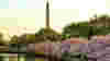 blog_croppeddcusethisone_original.jpg