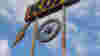 blog_croppedkoa_original.jpg