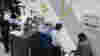 blog_croppedlineatsecurity_original.jpg