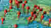 blog_croppedmap_original.jpg
