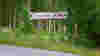 blog_croppedtreehotel_original.jpg