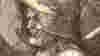 blog_durer_original.jpg