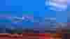 blog_holidayinnexpress_original.jpg