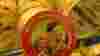 blog_img_3751_original.jpg