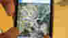 blog_iphonecroppedmap_original.jpg