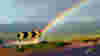 blog_irelandrainbow_original.jpg