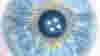 blog_irisimage2_original.jpg