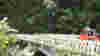 blog_jeepcrop_original.jpg