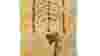 blog_lucybones256_original.jpg