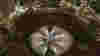blog_madisonparkart_original.jpg