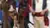 blog_not_pirates_original.jpg
