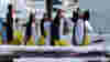 blog_polarbearjumpoff_panoramic_original.jpg