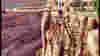 blog_skywalk_original.jpg
