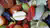 blog_trailmixcrop_original.jpg