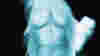 blog_tsaimage_original.jpg