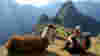 Bucket-List_Machu-Picchu_llama