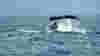 first-vacation-ss-whale-watching-maui-hawaii