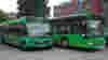Greyhound Bus