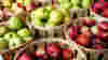 National Apple Harvest Festival