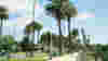 LA City Pages 2