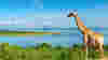 LegendaryRivers_Nile_1