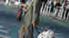 0606_airfaressecfront_man