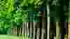 redesign_ecotourism