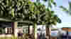 0711_ossipoff