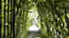 0805_garden
