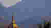 0804_perfectshot