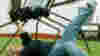 0805_stingray_art