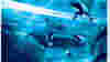 0806_ft_waterparks