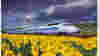 090511_highspeedtrains