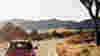 0906_rt_joshuatree