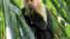 0909_truestories