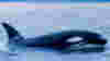 100325_dangerousjobs
