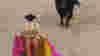 exitintmadrid_bullfighter