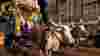 1012_adventuresbyapp