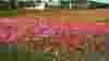 realdeals_lancaster_county