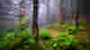 Shutterstock Rf 255584968